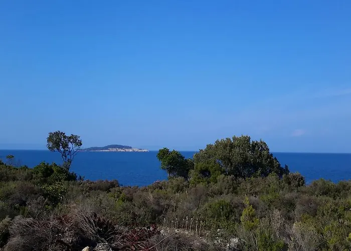 公寓 En Iko Christianna 奥林匹亚达